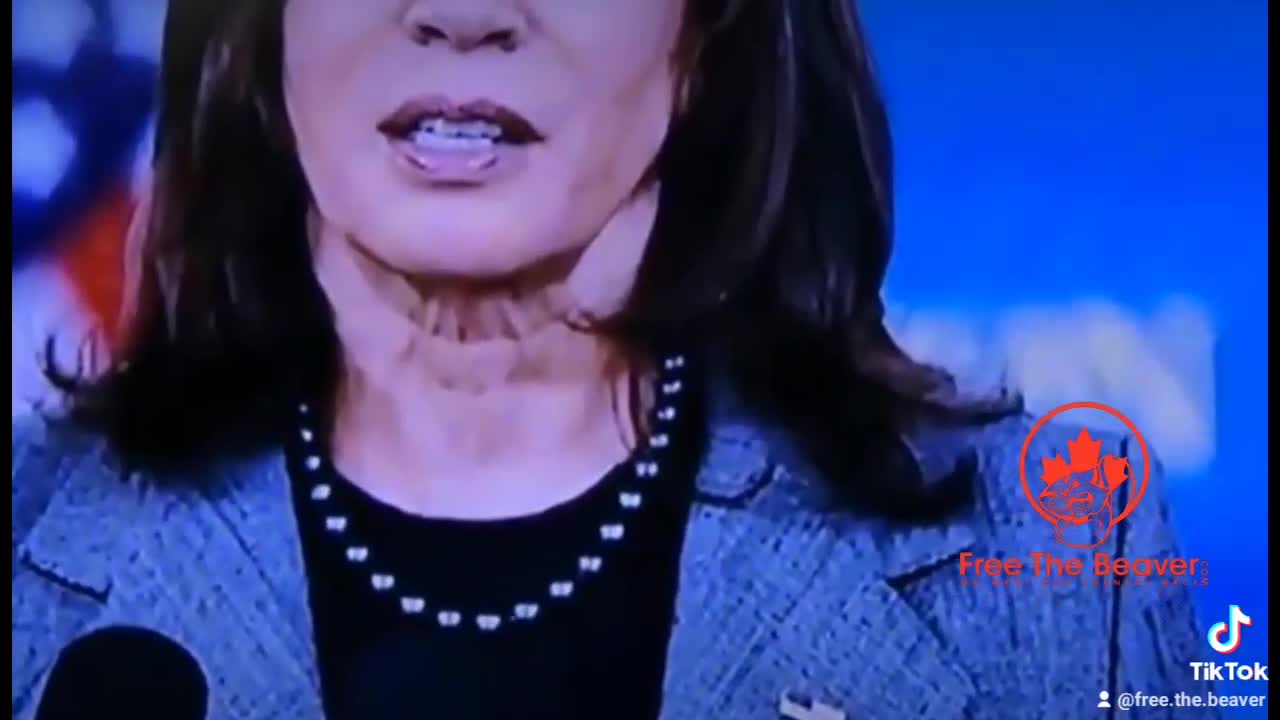 WTF is that?