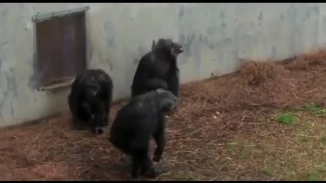 Me and the lads strolling out a gaff absolutely kernalled at 7AM