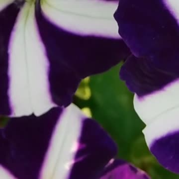 Take a Break: Discover How Relaxing This is! Volume 83