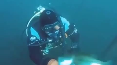 This is a beautiful and charming water-dwelling species