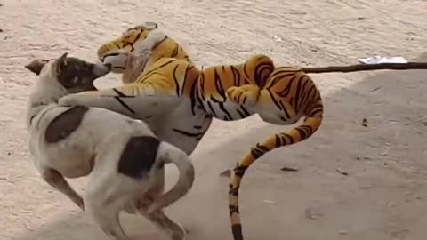 Fake Tiger Prank Dog, Funny Prank 2021