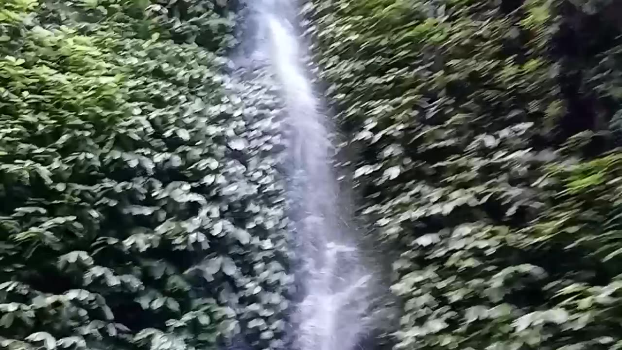 Beautiful falls inside the forest