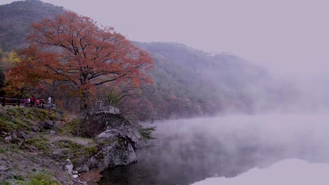 Jusanji Trip