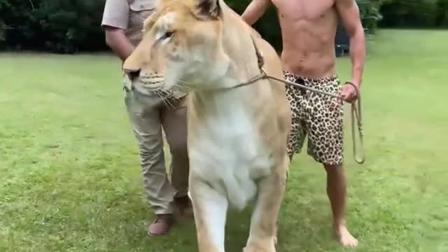 MEET A FELINE WHO LIVES IN THE UNITED STATES