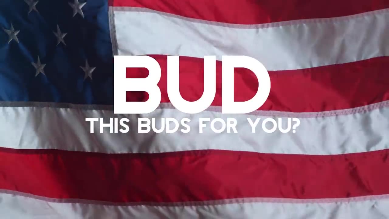 Bud Light Rejected My Advertisement...(PARODY)