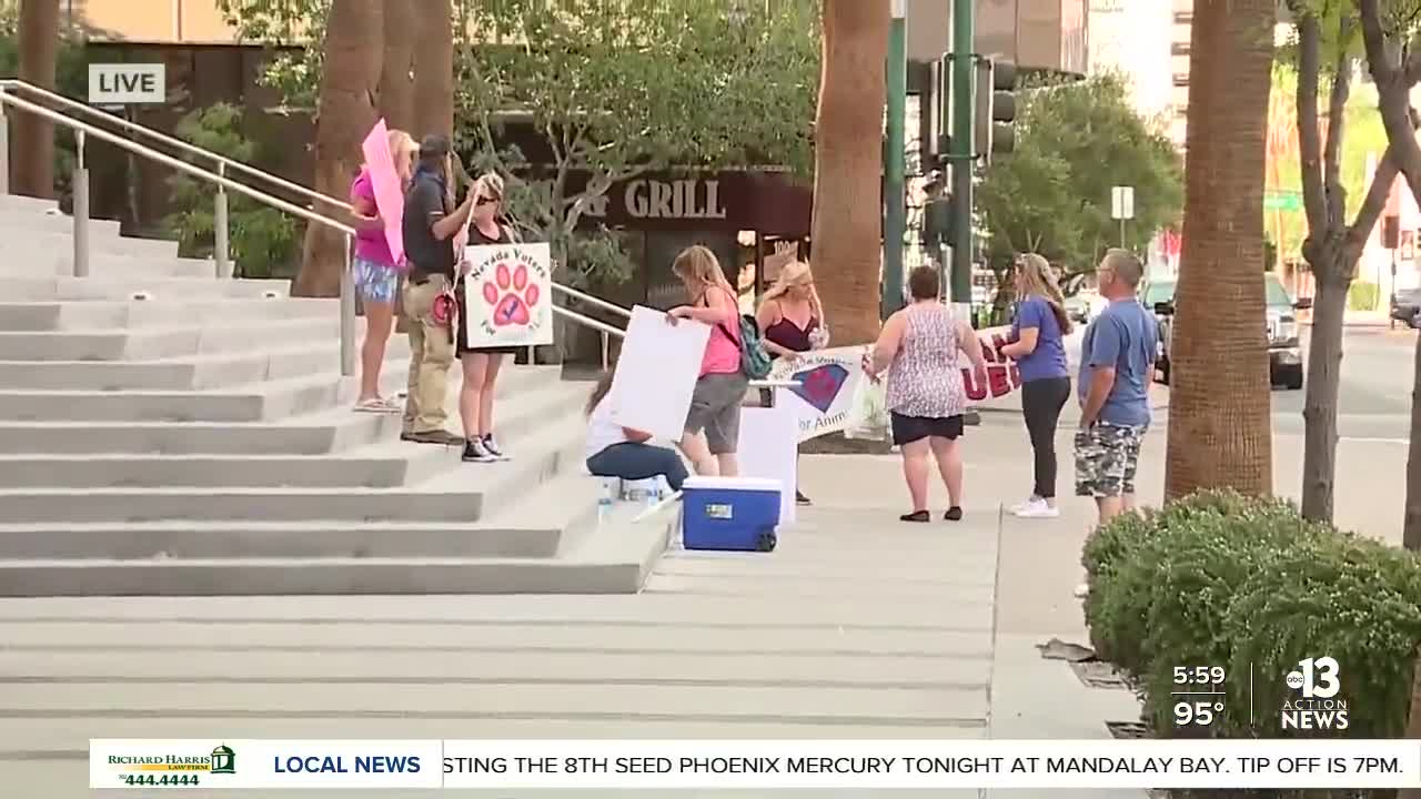 Animal activists rally as Las Vegas pet boarding business owner defends himself