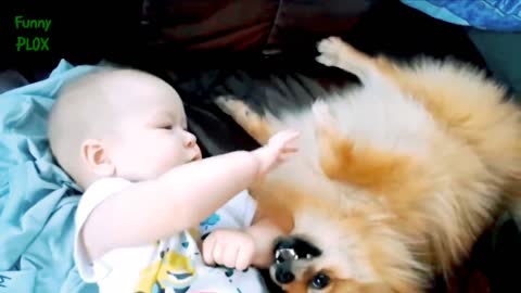 Puppies and Babies