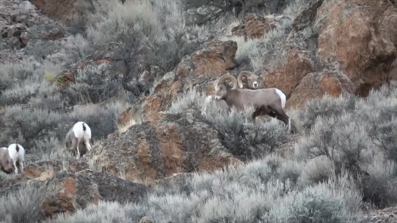 Day before the opener