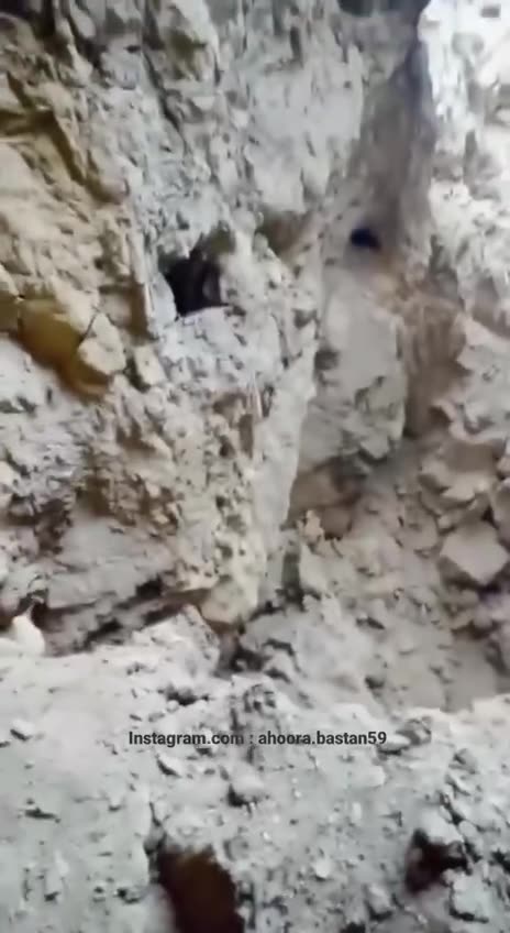 cryptonaut.mp4 | Mini cave humanoid goblin/gnome caught on film UFO Creepy Unexplained Paranormal