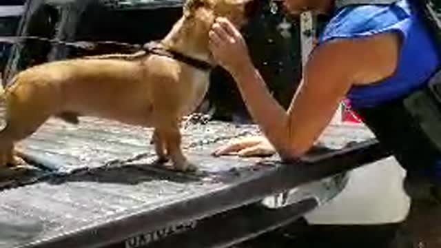 Coming home after breaking my back