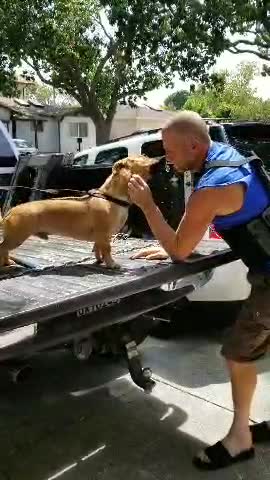 Coming home after breaking my back