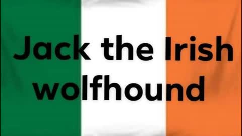 truck accident on the highway by Jack the Irish wolfhound