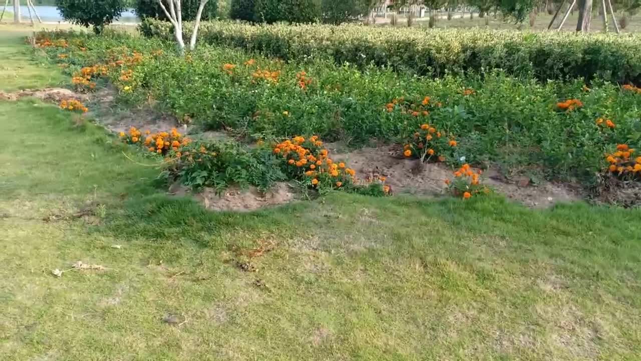Soil and grass better match