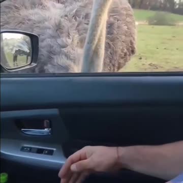 where is my share? 😂😂😁