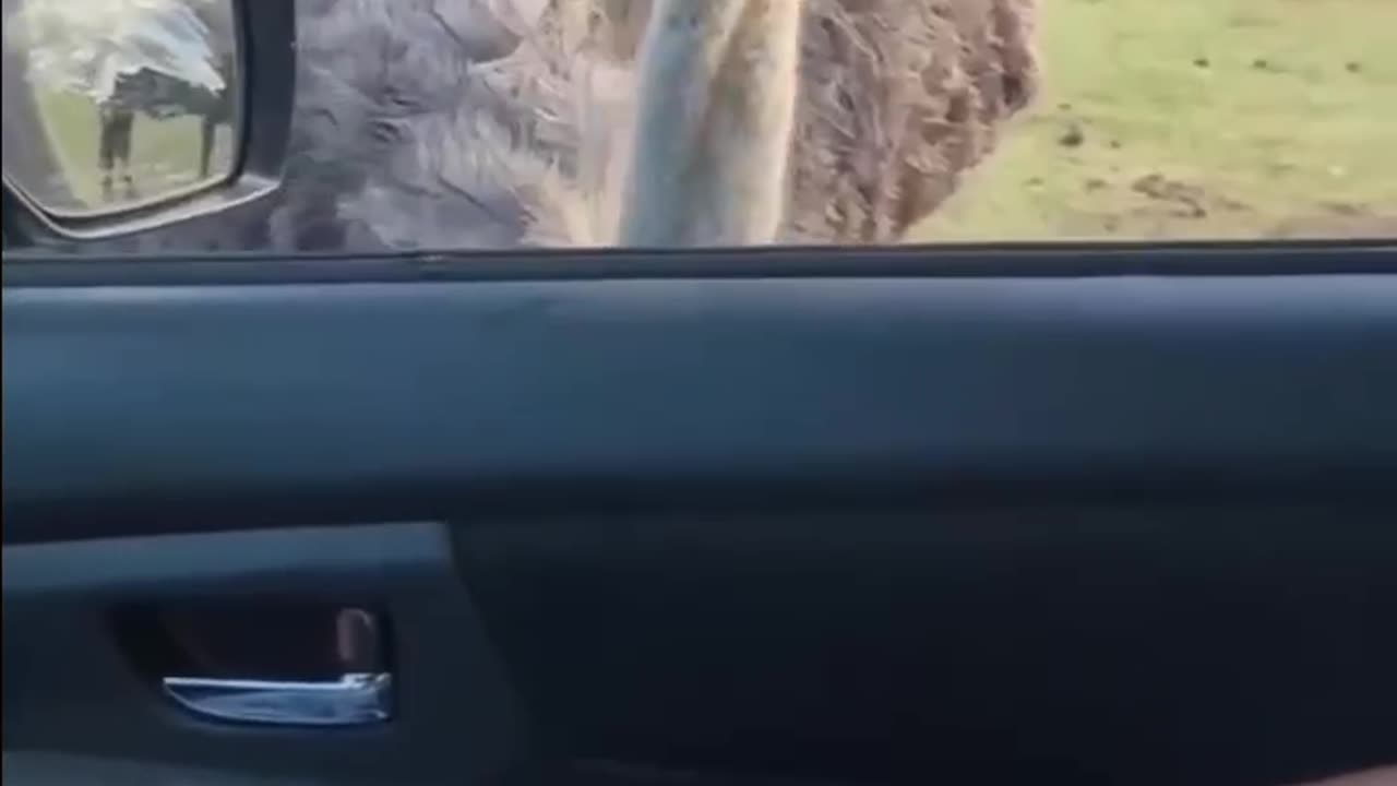 where is my share? 😂😂😁