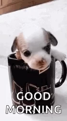 Puppy Cup