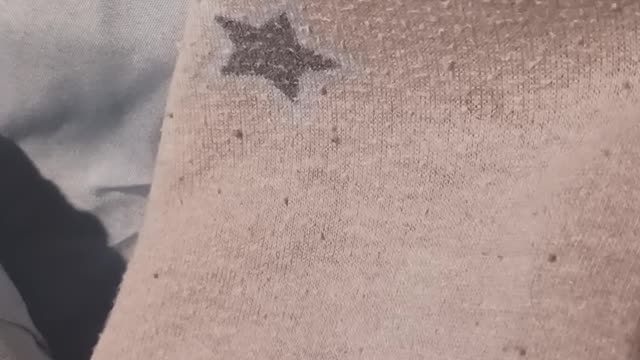 Quick Tip For Anyone Identifying As Anything Esp. T/Crans