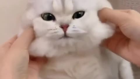 How to get my car fixed 😞😭 the house is a pound