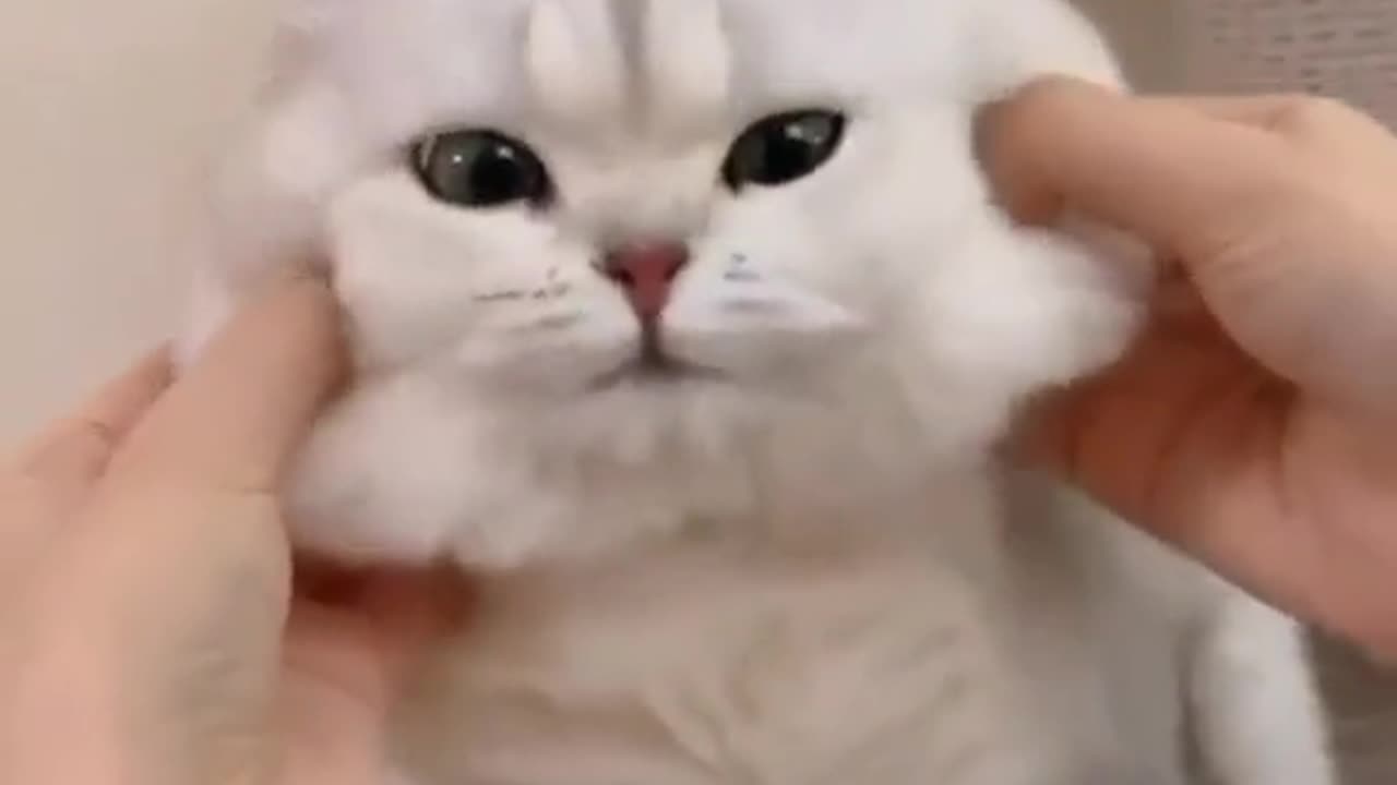 How to get my car fixed 😞😭 the house is a pound