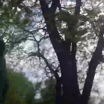 Meet Sandy The Squirrel!