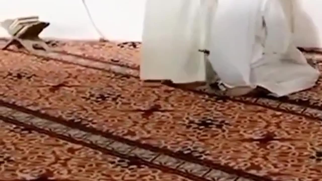 So funny just watch