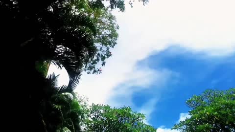 soft clouds moving green nature background video