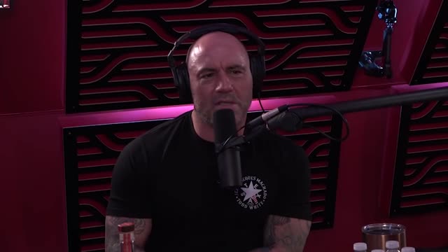 Joe Rogan. The Ascension of Jorge Masvidal