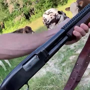 How Americans Make Fruit Salad