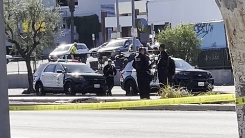 Los Angeles PD Looking for Shooter of Bus Driver