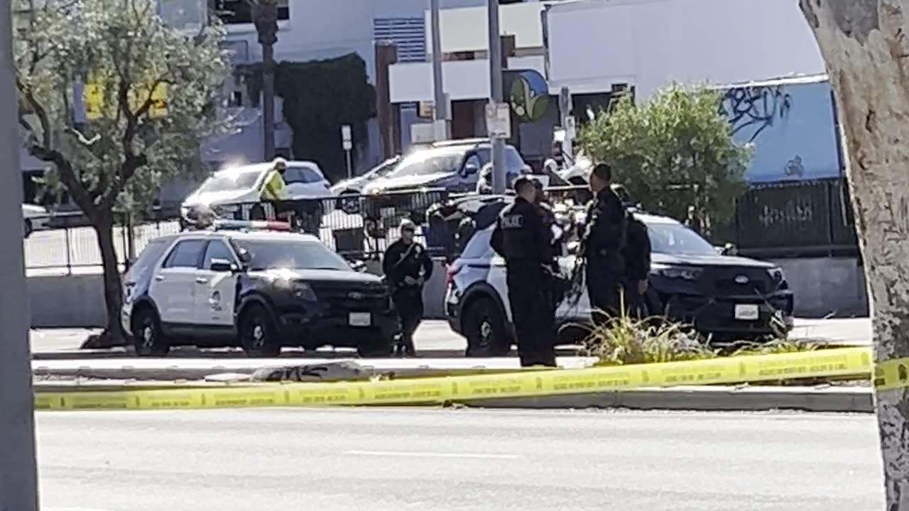 Los Angeles PD Looking for Shooter of Bus Driver