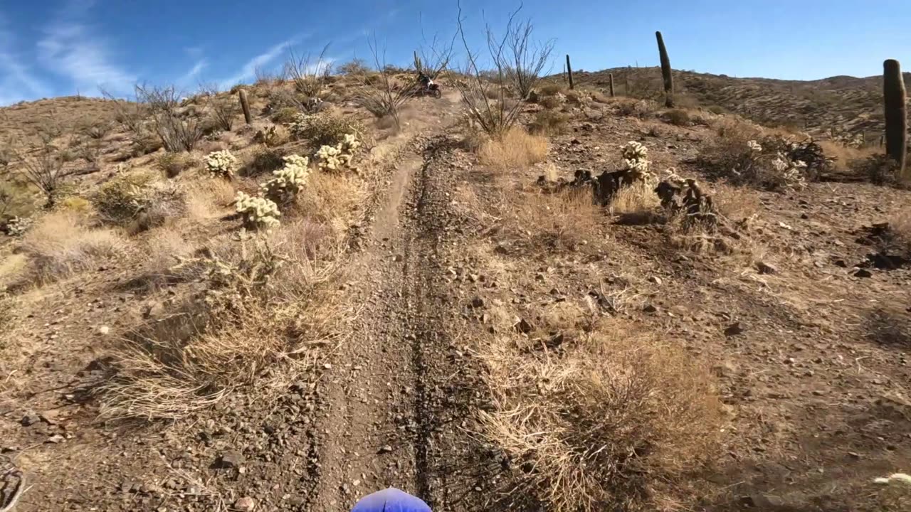 Single track Saturday's ride from weeks ago, part 2