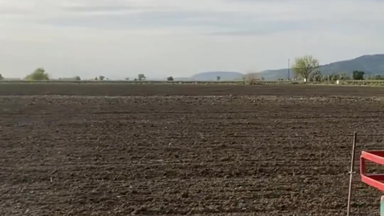 CRC vídeos curiosos