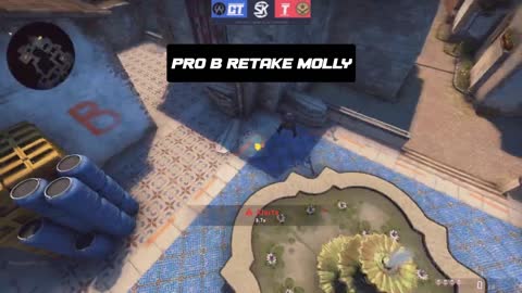 PRO B MOLLY RETAKE