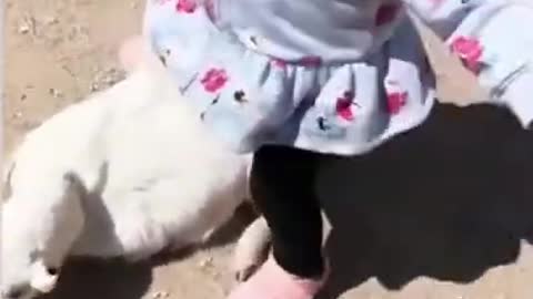 Funny baby playing with animals 1