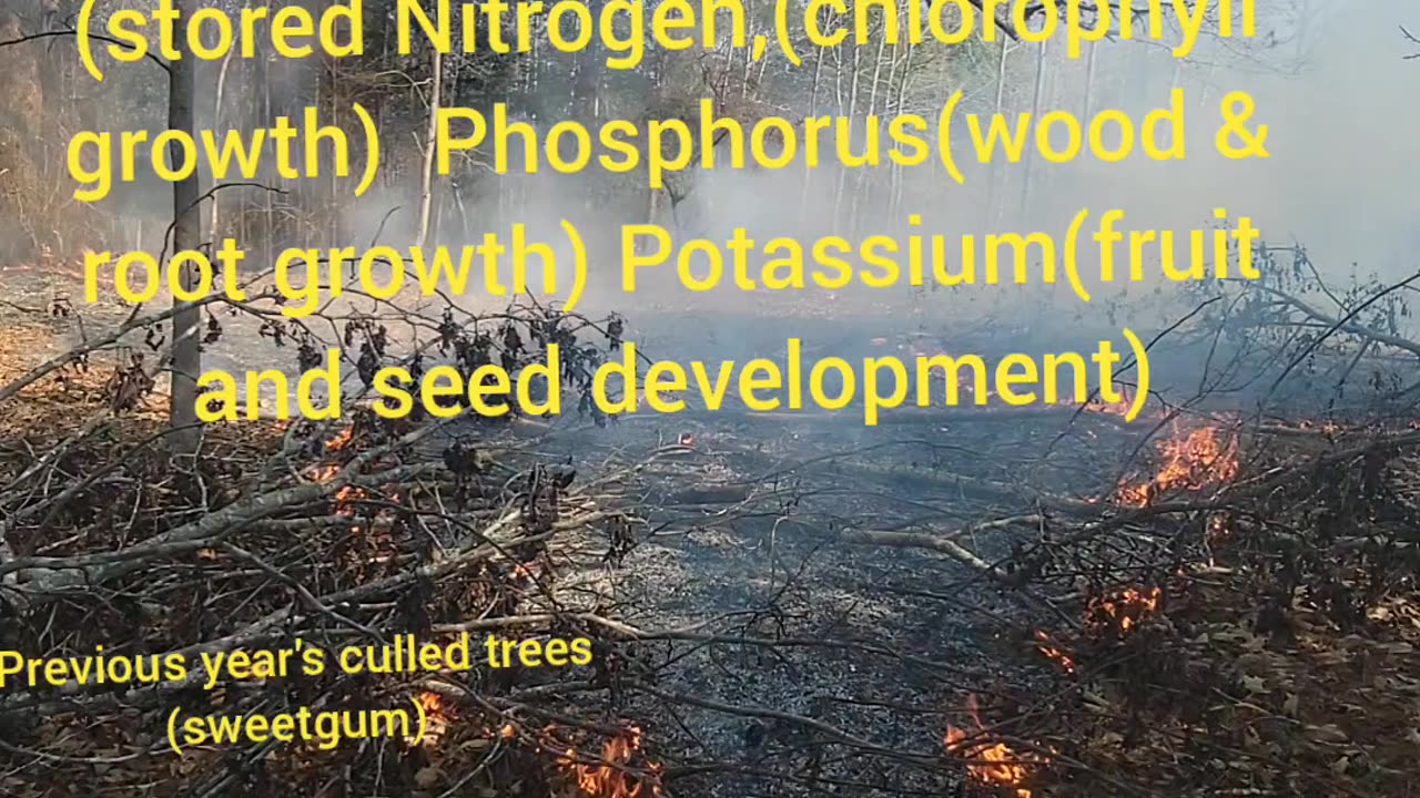 Learning about Fuel Hazard Reduction in Forests