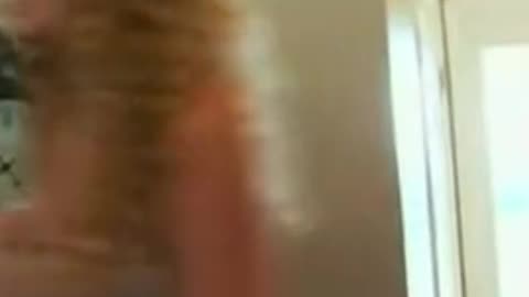 Dream Date Surprise: A Fairytale Come True!