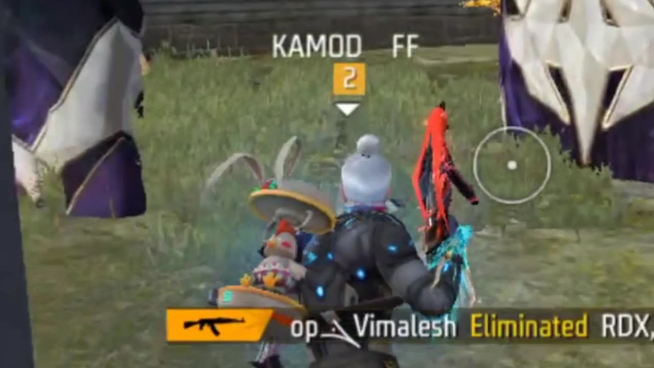 Free fire video