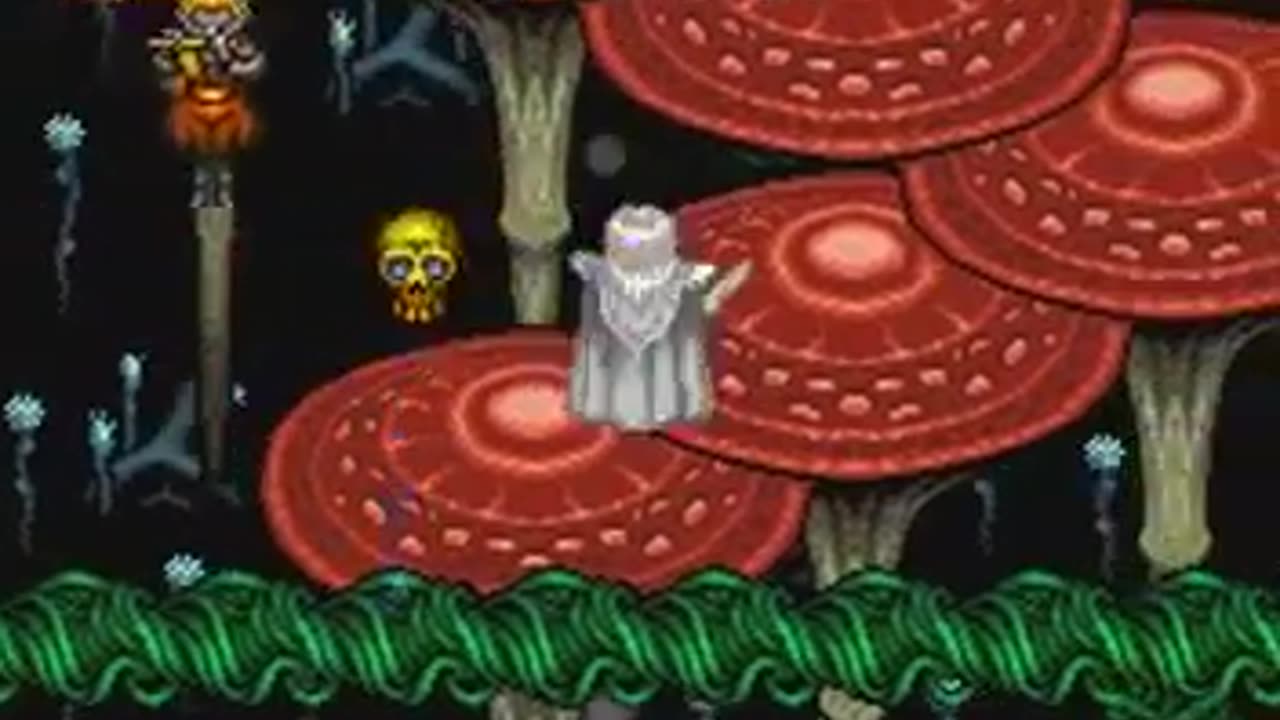 ILLUSION OF GAIA [ Pt. 6 ]