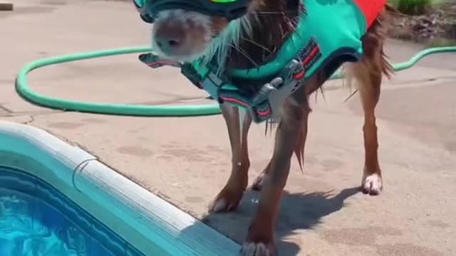 Silence the voice that says you can’t