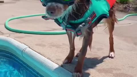 Silence the voice that says you can’t