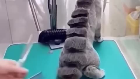 Catzilla