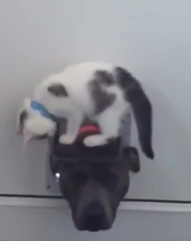 I got you and you are not leaving me now 🤣🤣