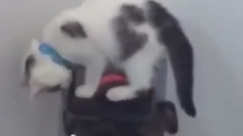 I got you and you are not leaving me now 🤣🤣
