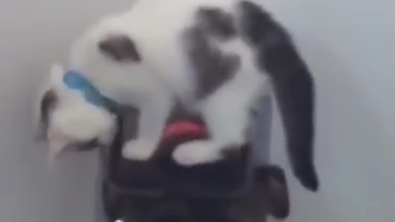I got you and you are not leaving me now 🤣🤣
