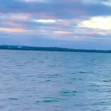 I am Grateful I am Safe and Secure and My Needs are Met I am Letting Go of the Extra Weight #174hz