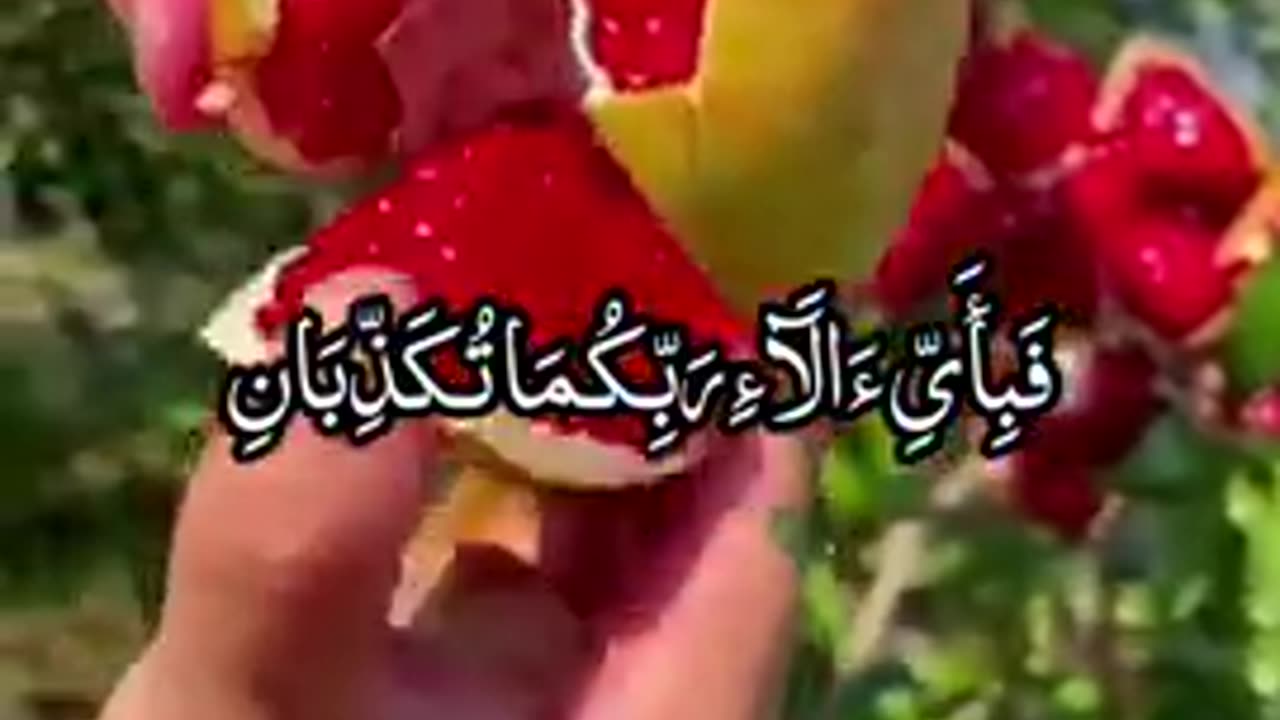 Beautiful Recitation Of Quran E Pak Beautiful Tilawat E Quran E Pak