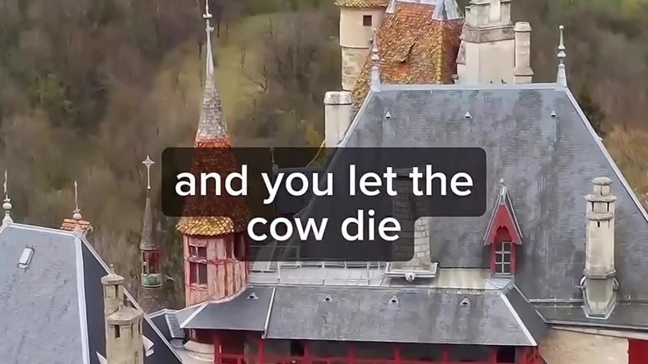 Motivational video