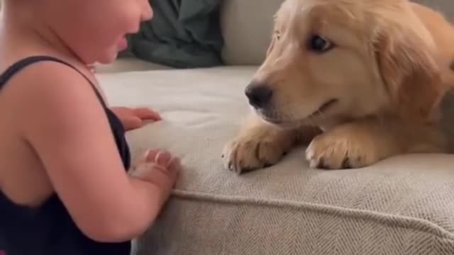 Cute baby kiss dog ❤️❤️