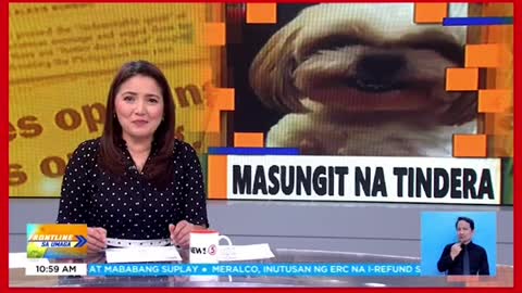 Masungit na asong nagala tindera, kinagigiliwan online