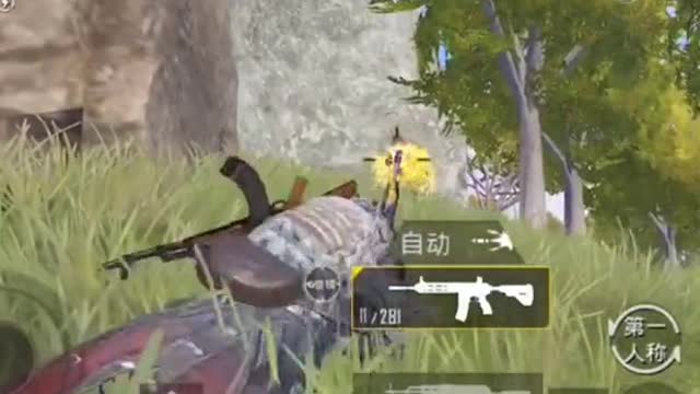 Operation of the great